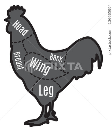 Rooster silhouette with meat chart. Butchery shop guide Rooster silhouette with meat chart. Butchery shop guide 136665994