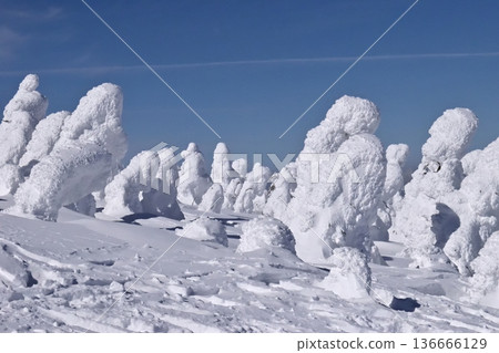 西吾妻山上的霧凇樹木與雪怪 136666129