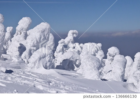 西吾妻山上的霧凇樹木與雪怪 136666130
