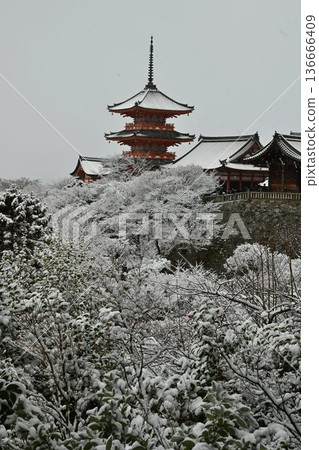 World Cultural Heritage Site, Kyoto Higashiyama, Kiyomizu-dera Temple, snow scene World Cultural Heritage Site, Kyoto Higashiyama, Kiyomizu-dera Temple, snow scene 136666409