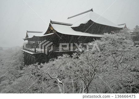 世界文化遺產,京都東山,清水寺,雪景 世界文化遺產,京都東山,清水寺,雪景 136666475