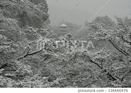 世界文化遺產，京都東山，清水寺，雪景 136666476