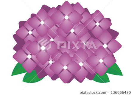 Pink hydrangea simple path data Pink hydrangea simple path data 136666480