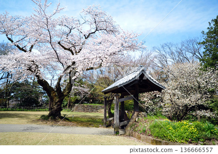 金澤城郵票門在春天 金澤城郵票門在春天 136666557