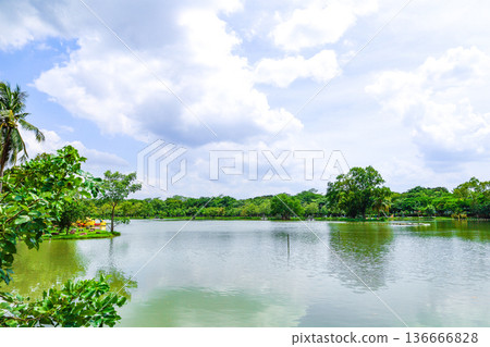 綠樹環繞的池塘公園 136666828