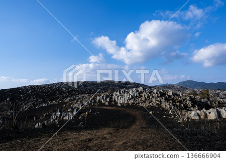 White rocks rising from the black plains and a vast karst landscape White rocks rising from the black plains and a vast karst landscape 136666904