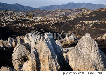 The texture of the looming white rocks: A close-up of the karst plateau after the mountain burn 136666906