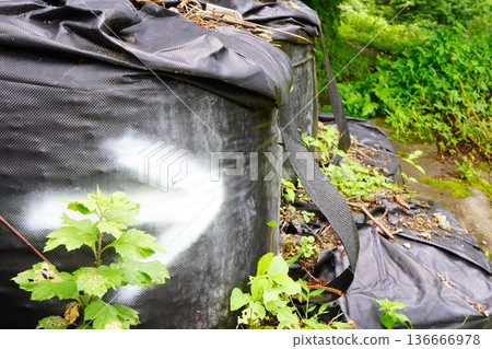 Large black sandbags overgrown with grass and natural scenery 136666978