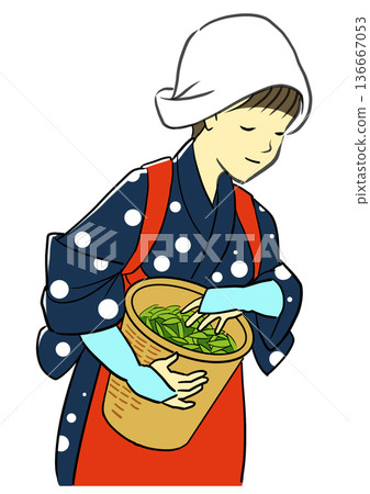 五月八十八夜,一位裝扮成少女的女子正在採茶葉。 五月八十八夜,一位裝扮成少女的女子正在採茶葉。 136667053