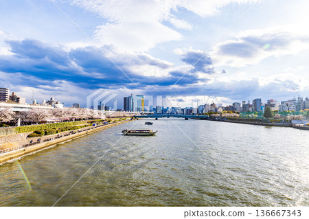 東京隅田公園櫻花節 136667343