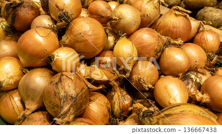 Onions harvested from the field. Farm-fresh vegetables. Pile of ripe onions. 136667438
