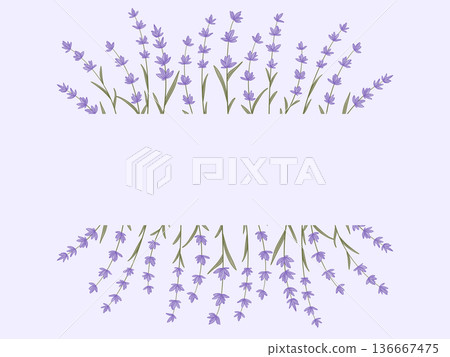 Floral layout with copy space in delicate purple Floral layout with copy space in delicate purple 136667475