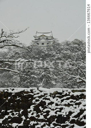 National Treasure Hikone Castle: A snowy winter scene National Treasure Hikone Castle: A snowy winter scene 136667614