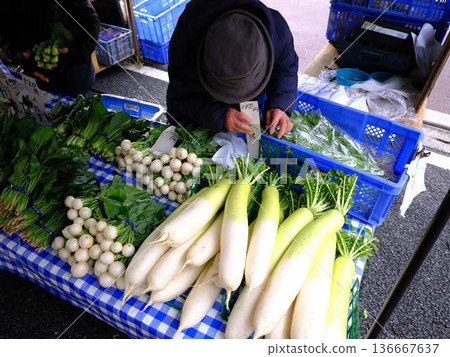 Kochi City Sunday Market Street Market Blue Sky Market Vegetables and Fruits Kochi City Sunday Market Street Market Blue Sky Market Vegetables and Fruits 136667637