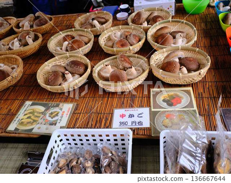 Kochi City Sunday Market Street Market Blue Sky Market Vegetables and Fruits Kochi City Sunday Market Street Market Blue Sky Market Vegetables and Fruits 136667644