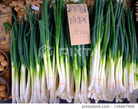 Kochi City Sunday Market Street Market Blue Sky Market Vegetables and Fruits Kochi City Sunday Market Street Market Blue Sky Market Vegetables and Fruits 136667666
