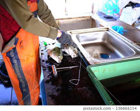 Fish wholesale market Fish wholesale market 136668154