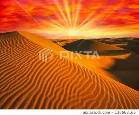 大加那利島沙丘的壯麗景色 136668166