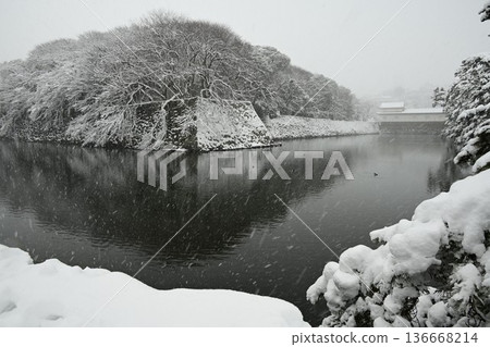 National Treasure Hikone Castle: A snowy winter scene National Treasure Hikone Castle: A snowy winter scene 136668214