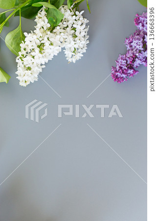 Purple lilac in a top view with empty space 136668396