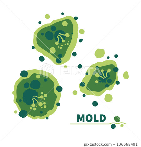 Green fungus spores growth vector illustration set Green fungus spores growth vector illustration set 136668491