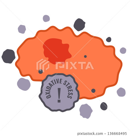 Oxidative stress from free radicals sign on damaged cell Oxidative stress from free radicals sign on damaged cell 136668495