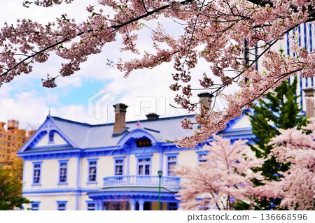 Cherry blossoms at Hoheikan in Sapporo Cherry blossoms at Hoheikan in Sapporo 136668596