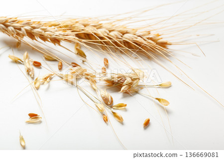 Wheat grains and stalks are arranged on a white surface for display or analysis 136669081