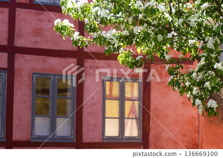 Wall detail of houses in Helsingoer in spring 2015 Wall detail of houses in Helsingoer in spring 2015 136669100