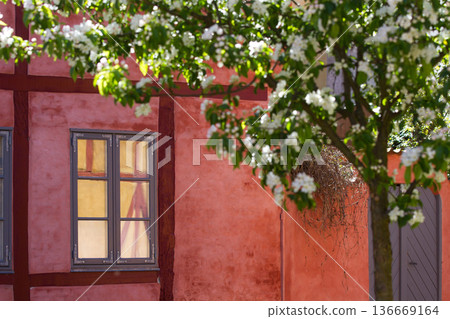 Wall detail of houses in Helsingoer in spring 2015 136669164