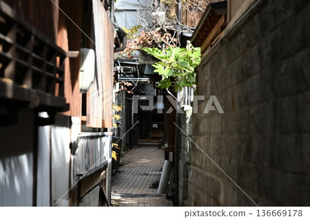 Autumn streetscape of the cobblestone streets of Shibu Onsen (Yamanouchi Town, Nagano Prefecture) 136669178