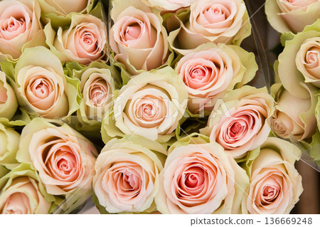 Flower market in Helsingoer 2015 Flower market in Helsingoer 2015 136669248
