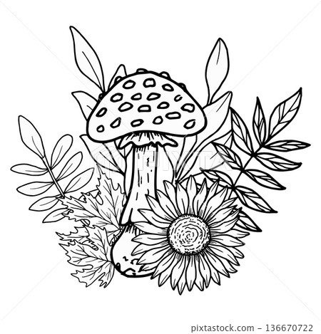 Composition of fly agarics with sunflowers, rowan berries, maple leaves. Botanical vector illustration. Hand drawn in black ink. Outline drawing of the mushroom and berries for seasonal celebrations. Composition of fly agarics with sunflowers, rowan berries, maple leaves. Botanical vector illustration. Hand drawn in black ink. Outline drawing of the mushroom and berries for seasonal celebrations. 136670722