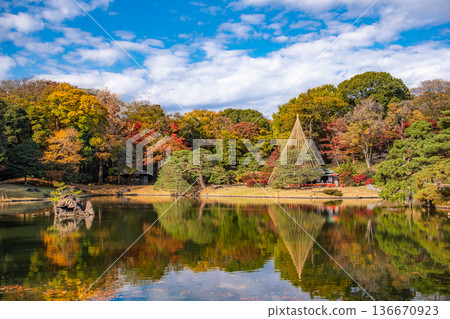 Rikugien Garden on a clear autumn day in Bunkyo Ward, Tokyo Rikugien Garden on a clear autumn day in Bunkyo Ward, Tokyo 136670923