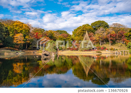 東京文京區秋日晴朗的六義園 東京文京區秋日晴朗的六義園 136670926