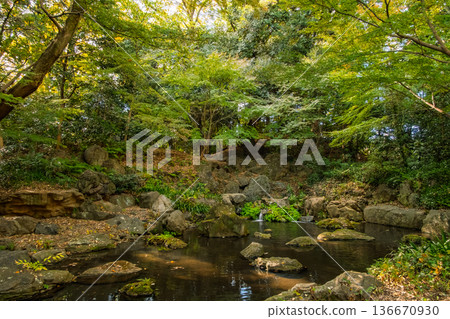 東京文京區六義園的秋景。從瀧見茶屋眺望枕形洞和山澗溪流。 東京文京區六義園的秋景。從瀧見茶屋眺望枕形洞和山澗溪流。 136670930