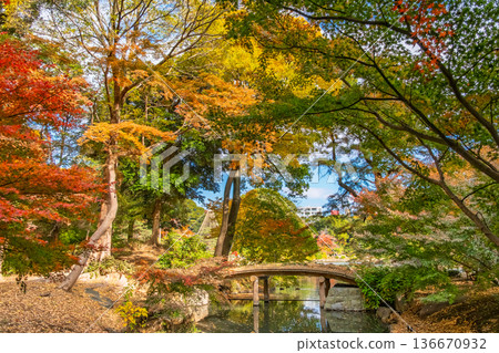 Rikugien Garden and Chidoribashi Bridge in autumn, surrounded by vibrant autumn leaves in Bunkyo Ward, Tokyo Rikugien Garden and Chidoribashi Bridge in autumn, surrounded by vibrant autumn leaves in Bunkyo Ward, Tokyo 136670932