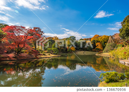 東京文京區秋日晴朗的六義園 東京文京區秋日晴朗的六義園 136670936