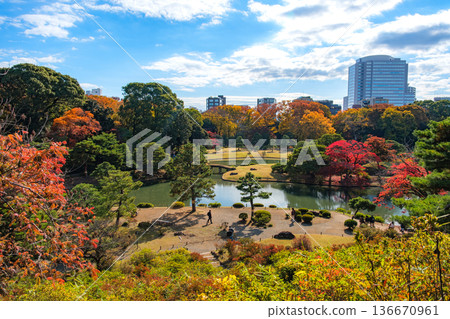Rikugien Garden in Bunkyo Ward, Tokyo, on a clear autumn day. The garden and the large pond overlooked from Fujishiro Pass. 136670961