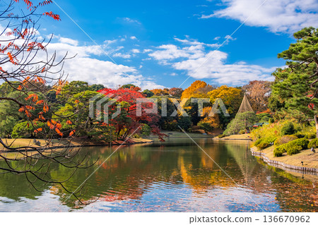 Rikugien Garden on a clear autumn day in Bunkyo Ward, Tokyo Rikugien Garden on a clear autumn day in Bunkyo Ward, Tokyo 136670962