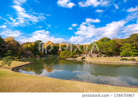 東京文京區秋日晴朗的六義園 東京文京區秋日晴朗的六義園 136670967