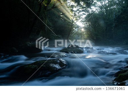 輕鬆的谷 136671061