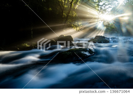 輕鬆的谷 136671064