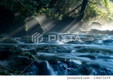 輕鬆的谷 136671074