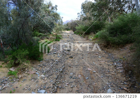 Arizona Desert Arroyo 136671219