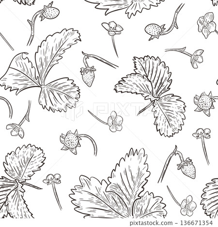Black and white fresh strawberry leaves and flowers vector pattern isolated. Seamless monochrome design with garden berries for textile, wallpaper, and background. Strawberry outline hand drawn. Black and white fresh strawberry leaves and flowers vector pattern isolated. Seamless monochrome design with garden berries for textile, wallpaper, and background. Strawberry outline hand drawn. 136671354