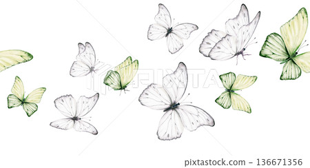 White and green butterflies in seamless border with delicate shimmering pattern,inspired by the Morpho godartii Bolivia.Symbolizing departed souls,purity,innocence,for memorial designs,spiritual theme White and green butterflies in seamless border with delicate shimmering pattern,inspired by the Morpho godartii Bolivia.Symbolizing departed souls,purity,innocence,for memorial designs,spiritual theme 136671356