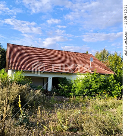 A one-story abandoned house with a red roof, overgrown with wild vegetation A one-story abandoned house with a red roof, overgrown with wild vegetation 136671513