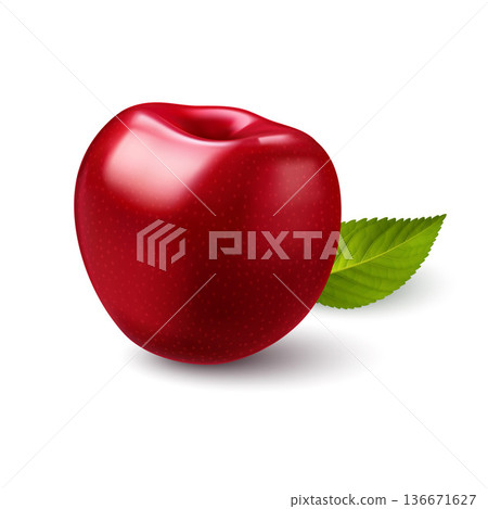 Cherry berry Cherry berry 136671627