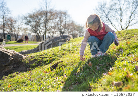 Little girl exploring nature in city park during spring walk. Curious child interacting with soil, leaves and landscape in outdoor environment. 136672027